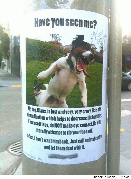 Hilarious Street Flyer