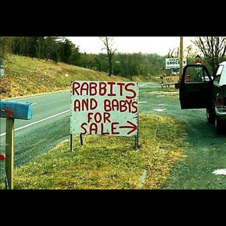 Funny Yard Sign 9